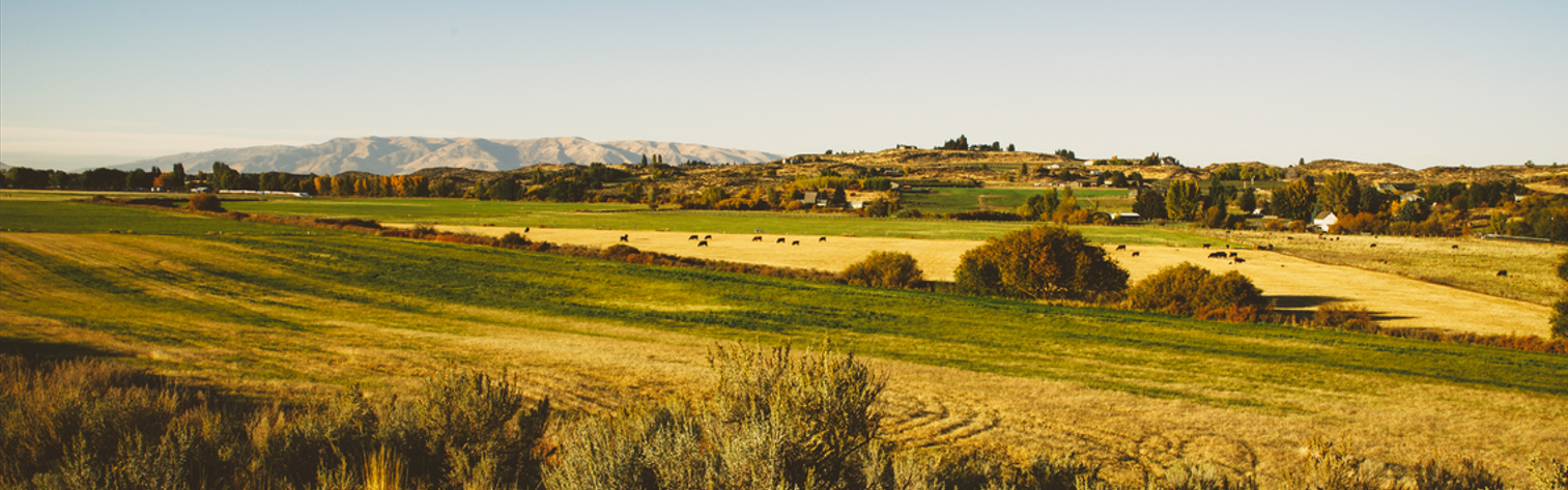 rural Oregon image